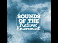 A Selection of Birdsongs - Sounds of Nature Relaxation