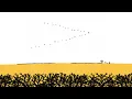 Harrison - All About Us (ft. Jaleel Shaw) (Visualizer)