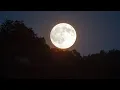 4K FULL MOON Free Stock Footage Free - no copyright