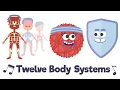 Download Lagu Twelve Body Systems Song