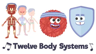 twelve body systems song