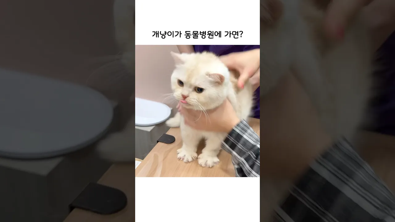 이렇게 변합니다..