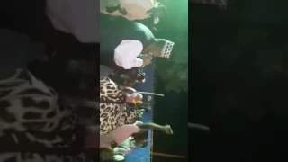 اموري واضحه 