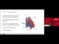 The Missing Link in the Development of a Comprehensive Stroke Program Autonomous TCD