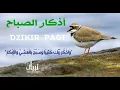 Download Lagu اذكار الصباح بصوت يريح القلب والعقل | حصن نفسك وبيتك من كل شر للقارئ علاء عقل