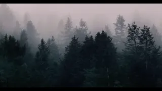 موسيقى هواجيس   دندنها