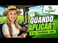 H-2A Seasonal Jobs The Best Time to Apply and Get Hired in the US