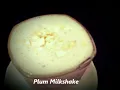 Plum Milkshake/Plum Milkshake Recipe/Iftar Drinks