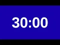 30 Minute Timer - 1800 Second Countdown