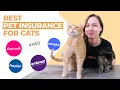 Best Pet Insurance for Cats Our Top 6 Recommendations