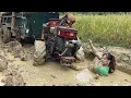 Download Lagu agricultural truck, the process of cutting and transporting wood by agricultural truck