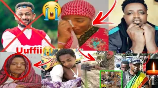 Rachuu Dulii Cimaan Banamee Ummata Wolloo Sagalee Fi Deggarsaa 