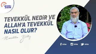Tevekkül nedir ve Allah'a tevekkül nasıl olur?