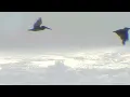 "Lighten up" from the album Reiki Om - Footage from the DVD "A Year of Guided Meditations"