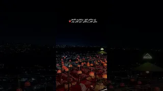 زود حلاكي الليل 