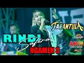 Download Lagu RINDI SAFIRA // NGAMEN 3 || TARANTULA LIVE MUSIC NGAWI - PW Pro Audio