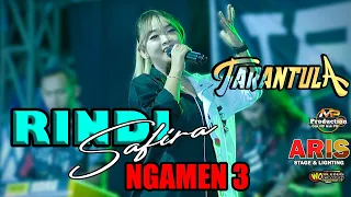 Download RINDI SAFIRA // NGAMEN 3 || TARANTULA LIVE MUSIC NGAWI - PW Pro Audio MP3