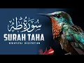 Download Lagu Surah Taha | By Ibn Bashiir | With Arabic Text \u0026 Translation |