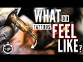 What Does a Tattoo ACTUALLY FEEL LIKE