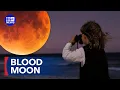 Blood Moon lights up Australian skies 9 News Australia