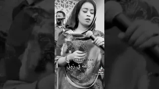 انا واثقه في زولي 