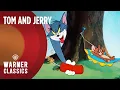 Download Lagu Tom and Jerry | Mega Compilation | Vol. 5 | Warner Classics