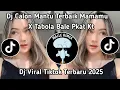 Download Lagu DJ CALON MANTU TERBAIK MAMAMU X TABOLA BALE PLAT KT VIRAL TIKTOK TERBARU 2025