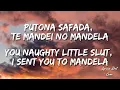 DJ Samir, MXZI and Volkz – Montagem Mandela (Lyrics)(With English Translation)