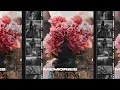 Download Lagu Fevy, Iriser – Memories of Summer (#deephouse 2024)