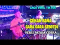 Download Lagu LAGU VIRAL TIKTOK !! CIINAN BANA VS GARA GARA SEBOTOL VERSI GONDANG PATAM COBRA