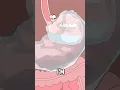 Download Lagu Why do you get stomachache after drinking ice water?#animation #funny #shorts