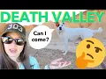 Should You Go To Death Valley Dog Friendly Travel Guide to The Hottest Place on Earth