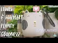 Lowes Walmart Planty Goodness The cutest planters