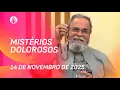 Lagu Terço de Aparecida com Pe. Antonio Maria - 14 de novembro 2025 [Mistérios Dolorosos]