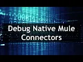 Mule 4 - How to Debug Native Mule Connectors