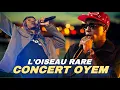 Download Lagu LE CONCERT DE L’OISEAU RARE À OYEM ‼️🥳🔥🚀