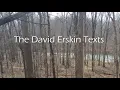 The Delphi Murders The David Erskin Texts
