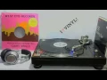 TAANA GARDEN - HEARTBEAT - ( CLUB VERSION )