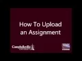 How to Upload and Assignment