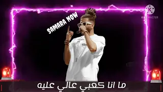 اسد وضبع وديب سماره دندنها