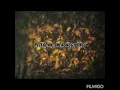 Download Lagu PETERPAN - MENUNGGU PAGI (Official Lirik)