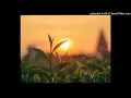Download Lagu AUD-20250202-WA0020