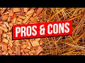 Mulch vs Pine Straw for Flower Beds My Thoughts