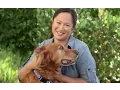 Dog Grooming Dog Care Petco