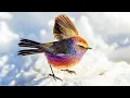 10 Most Beautiful Tits In The World