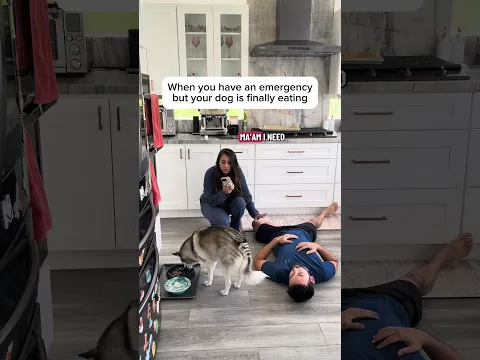 EMERGENCY?! Sorry, My Dog Is Eating 😂🐶