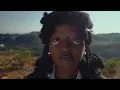 Thando Zide - iNtwenhle (ft. Kaelan DiJulio) Visualizer
