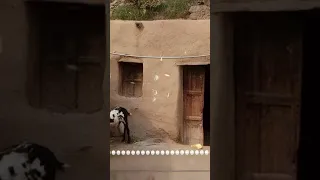 قصة الفتاة وجدها رجل عجوز امام الكوخ وعندما كبرت اكتشفت أنها أميرة مفقودة منذ عشرين 2025 عام ا 