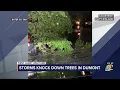 Storms knock down trees in Dumont