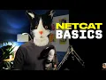 You NEED to know Netcat basics